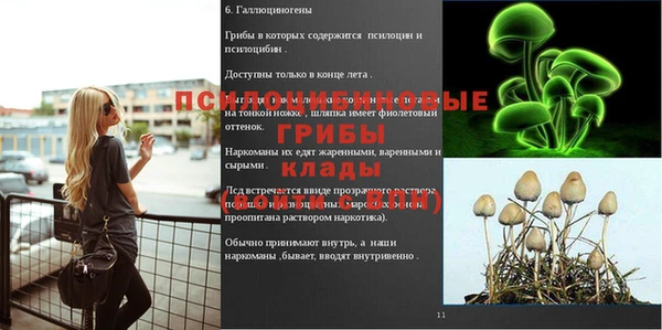 экстази Алзамай